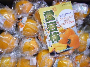2009/01/31 ���T�̔����ł�_17