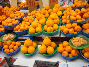 2009/01/31 ���T�̔����ł�_26