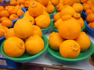 2009/01/31 ���T�̔����ł�_27
