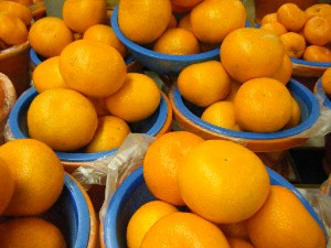2009/01/31 ���T�̔����ł�_28