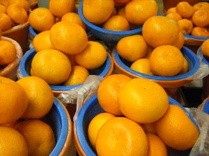 2009/01/31 ���T�̔����ł�_29