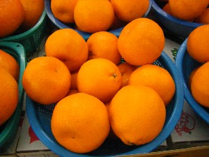 2009/01/31 ���T�̔����ł�_30