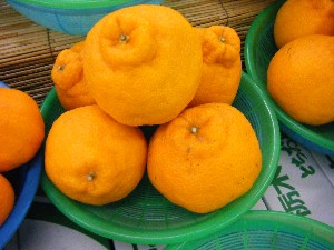 2009/01/31 ���T�̔����ł�_31