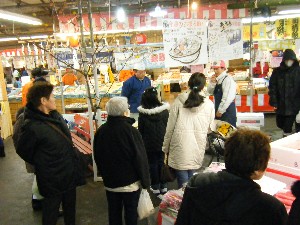 2009/01/31 ���T�̔����ł�_41