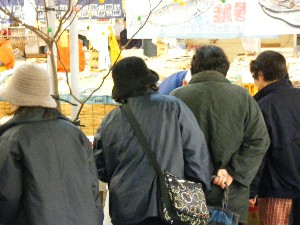 2009/01/31 ���T�̔����ł�_47