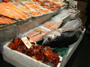 2009/01/31 ���T�̔����ł�_53