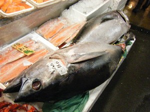 2009/01/31 ���T�̔����ł�_54