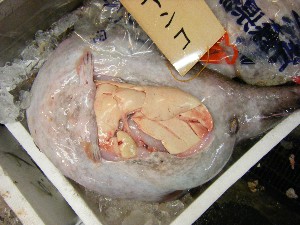 2009/01/31 ���T�̔����ł�_58