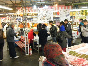 2009/01/31 �L���`�������_3