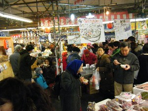 2009/01/31 �L���`�������_11