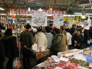 2009/02/01�b������������_1
