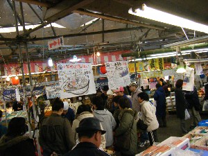 2009/02/01�b������������_6