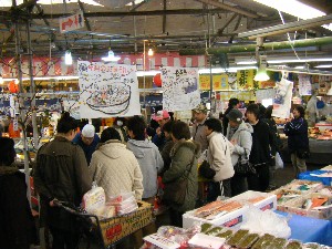 2009/02/01�b������������_8