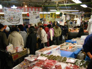 2009/02/01�b������������_9