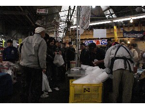2009/02/01 �C�N�������_11