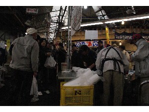 2009/02/01 �C�N�������_12