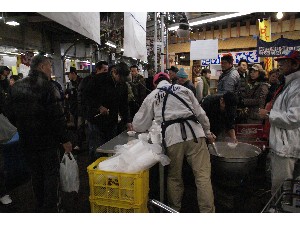 2009/02/01 �C�N�������_13