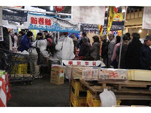 2009/02/01 �C�N�������_17