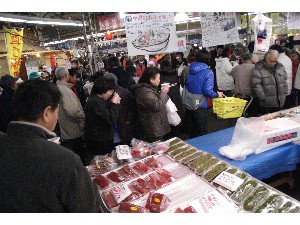 2009/02/01 �C�N�������_25