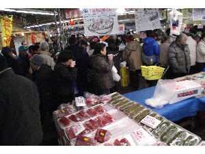 2009/02/01 �C�N�������_26