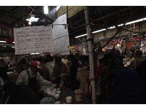 2009/02/01 �C�N�������_28