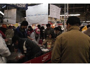 2009/02/01 �C�N�������_34