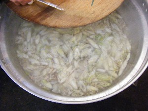 2009/02/01 �C�N�������_1
