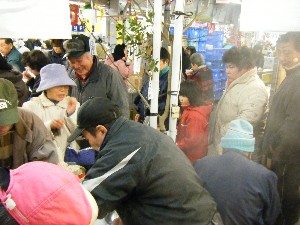 2009/02/01 �C�N�������_9
