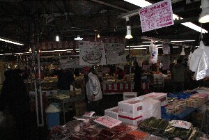 2009/01/31 �b������������2_1