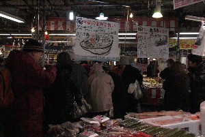 2009/01/31 �L���`�������2_28