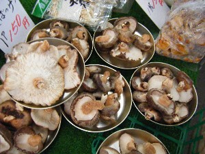 2009/02/07 ���T�̔���ł�_2
