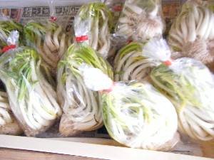 2009/02/07 ���T�̔���ł�_5