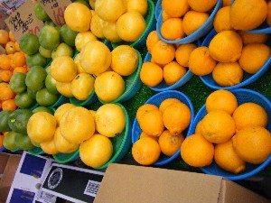 2009/02/07 ���T�̔���ł�_6