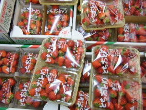 2009/02/07 ���T�̔���ł�_7