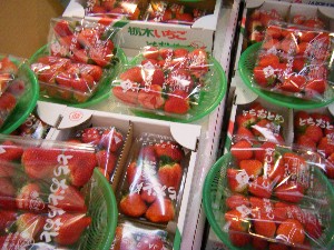 2009/02/07 ���T�̔���ł�_8