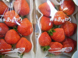 2009/02/07 ���T�̔���ł�_9