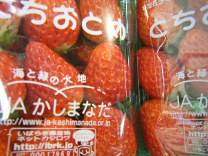 2009/02/07 ���T�̔���ł�_12