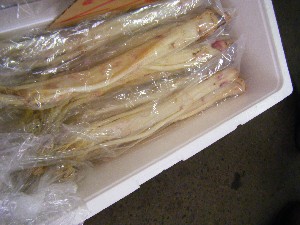 2009/02/07 ���T�̔���ł�_14