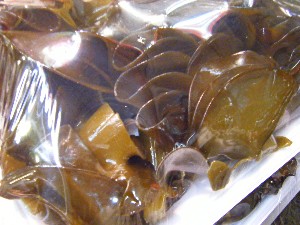 2009/02/07 ���T�̔���ł�_19