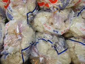 2009/02/07 ���T�̔���ł�_24