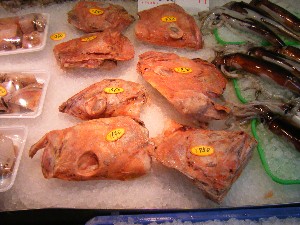 2009/02/07 ���T�̔���ł�_26