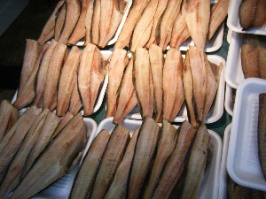 2009/02/07 ���T�̔���ł�_29