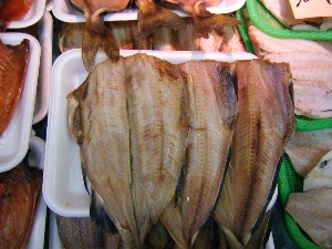 2009/02/07 ���T�̔���ł�_30