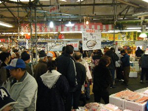 2009/02/07 ���ˎ�����_5