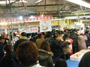 2009/02/08 �����Ђ��ݎ���_21