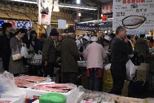 2009/02/07 ��?������_16