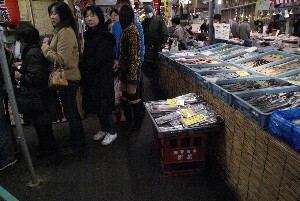 2009/02/07 ��?������_21