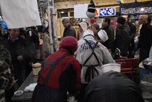 2009/02/08 �����Ђ��ݎ�����@-2-_13