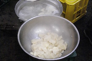 2009/02/08 �����Ђ��ݎ�����@-2-_18