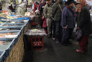 2009/02/08 �����Ђ��ݎ�����@-2-_28